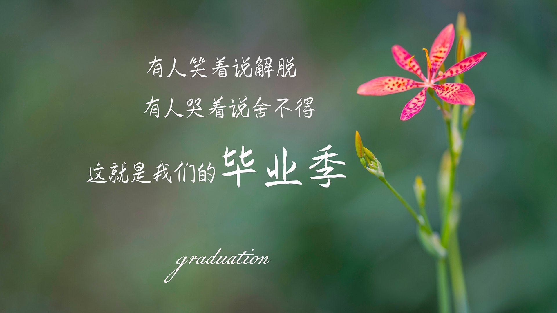 kaiyun官方网站-_魔术逆转精彩上演，士气高涨_，魔术逆正位代表什么意思