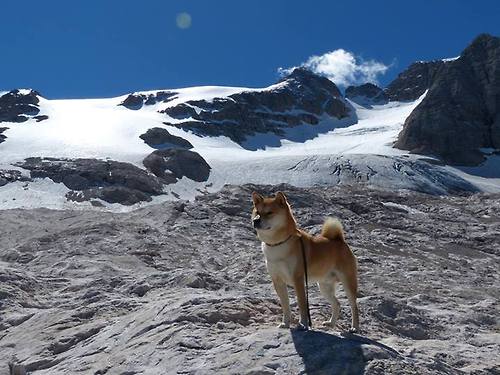 开云官网APP下载-“中国足球投资持续增长，行业迎来黄金期”，中国足球投入了多少钱