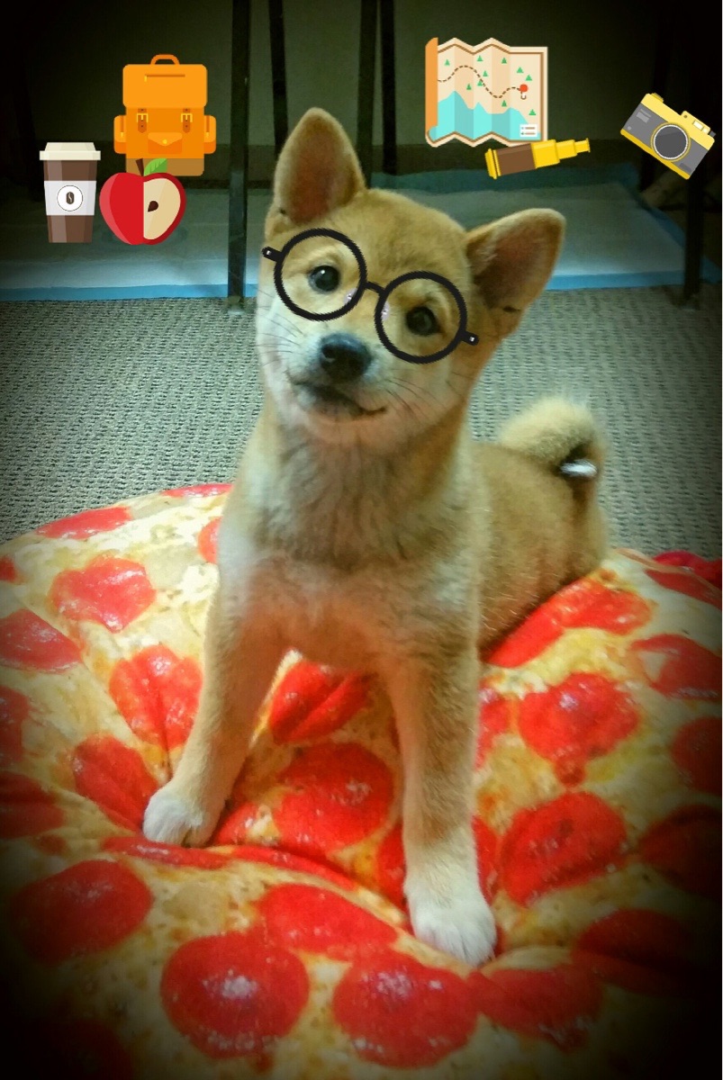 爱游戏体育（AYX）官方APP下载-“德甲领跑球队状态火热，豪取多连胜”，德甲队员