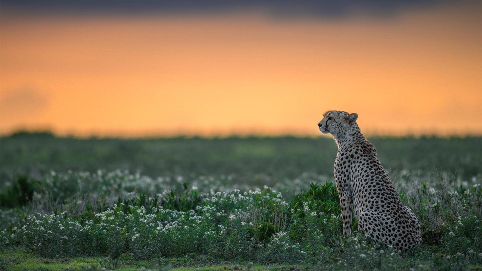 -【平局不再平凡】加时赛新规定让比赛悬念升级，加时赛打平