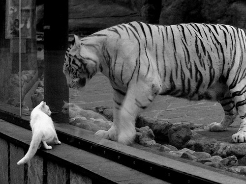 爱游戏体育APP下载-【比赛回溯】逆境中的奇迹：运动员如何用战术压制对手？，运动员怎么释放压力