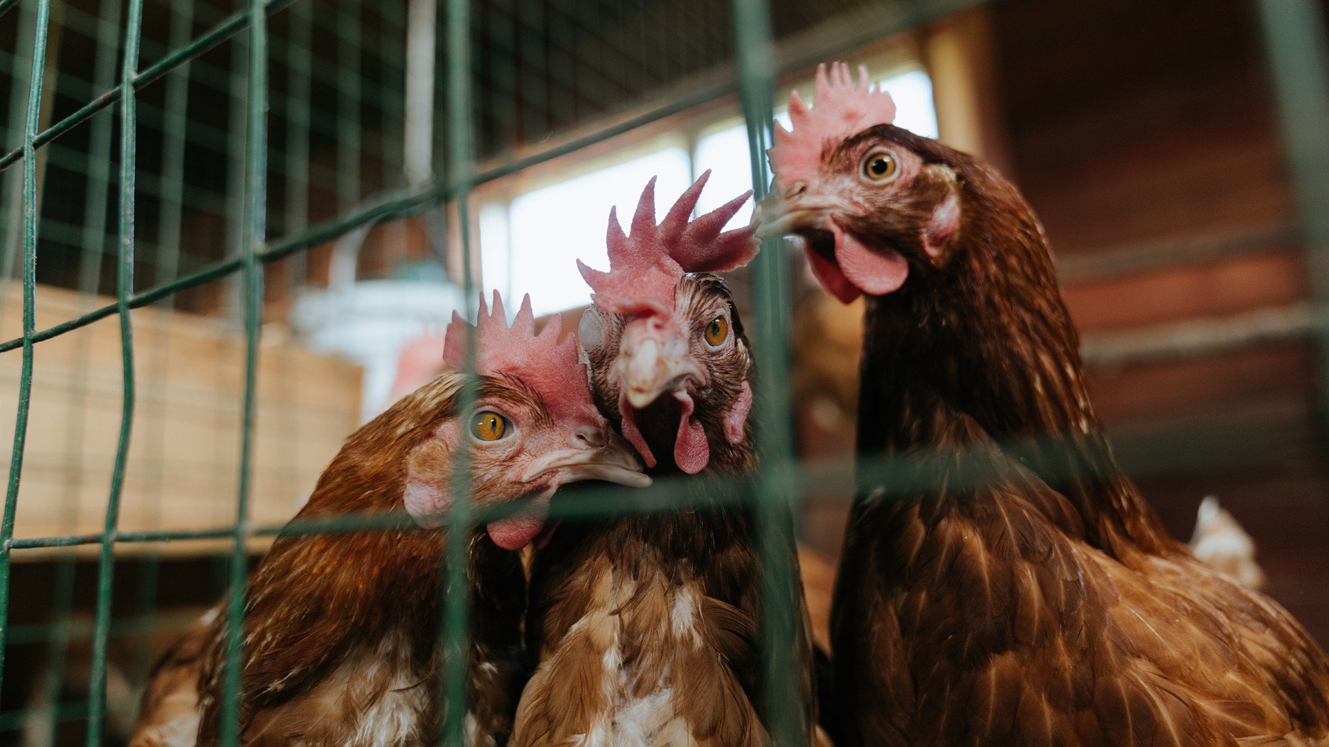 爱游戏体育官方网站-普拉提课程在女性健身人群中受欢迎，普拉提课程视频教程全集