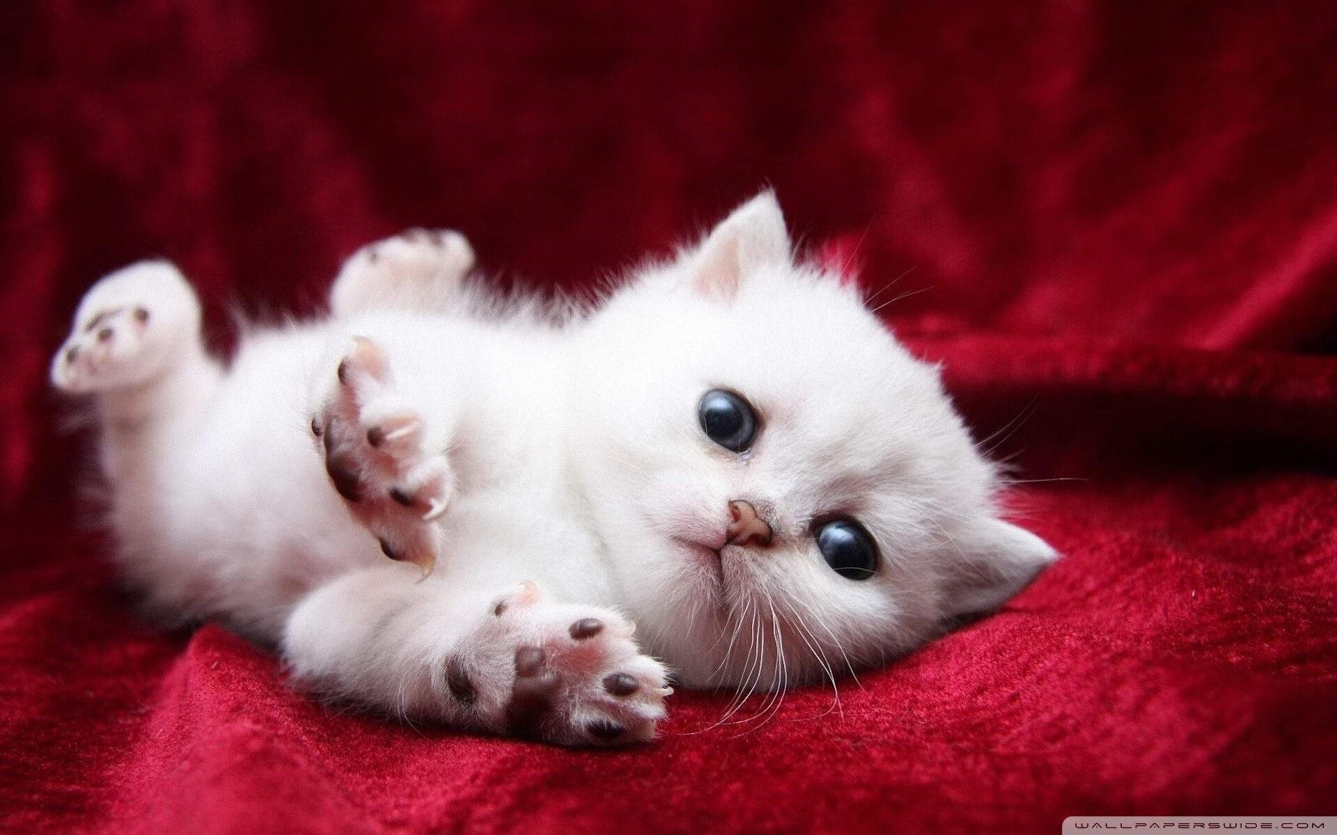 特色篮球赛事通过VR技术实现虚拟比赛，体验沉浸感，虚拟篮球如何对冲