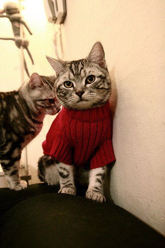 蓝领篮球:基层联赛助推全民健身热潮,蓝领队伍建设