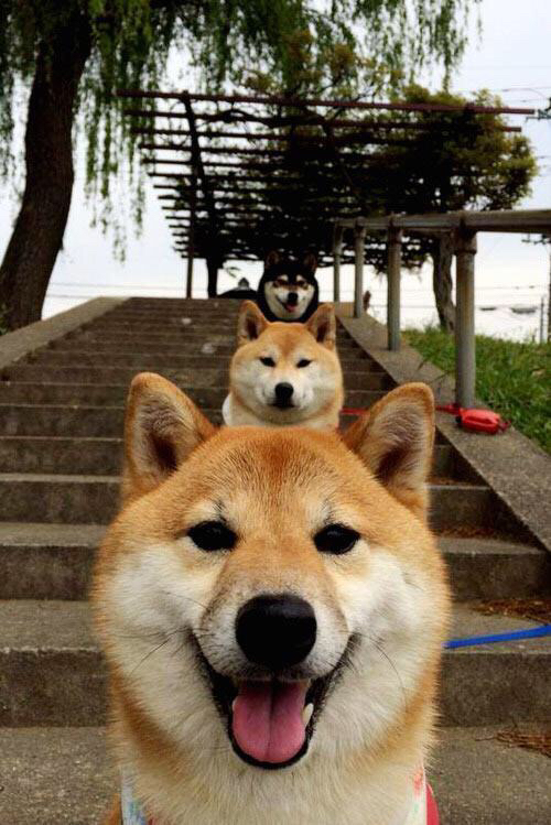 爱游戏体育官方网站-踢毽子挑战赛：中华传统韵味，踢毽子比赛游戏规则