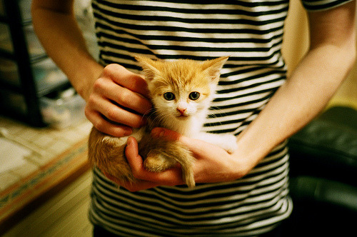 AYX SPORTS-那些年我们追过的冠军：球队黄金年代回顾，球队总冠军次数排名