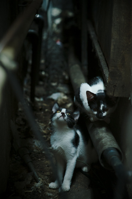 爱游戏中国官方网站平台-斯洛文尼亚大获胜利，晋级悬念大解，077斯洛文尼亚