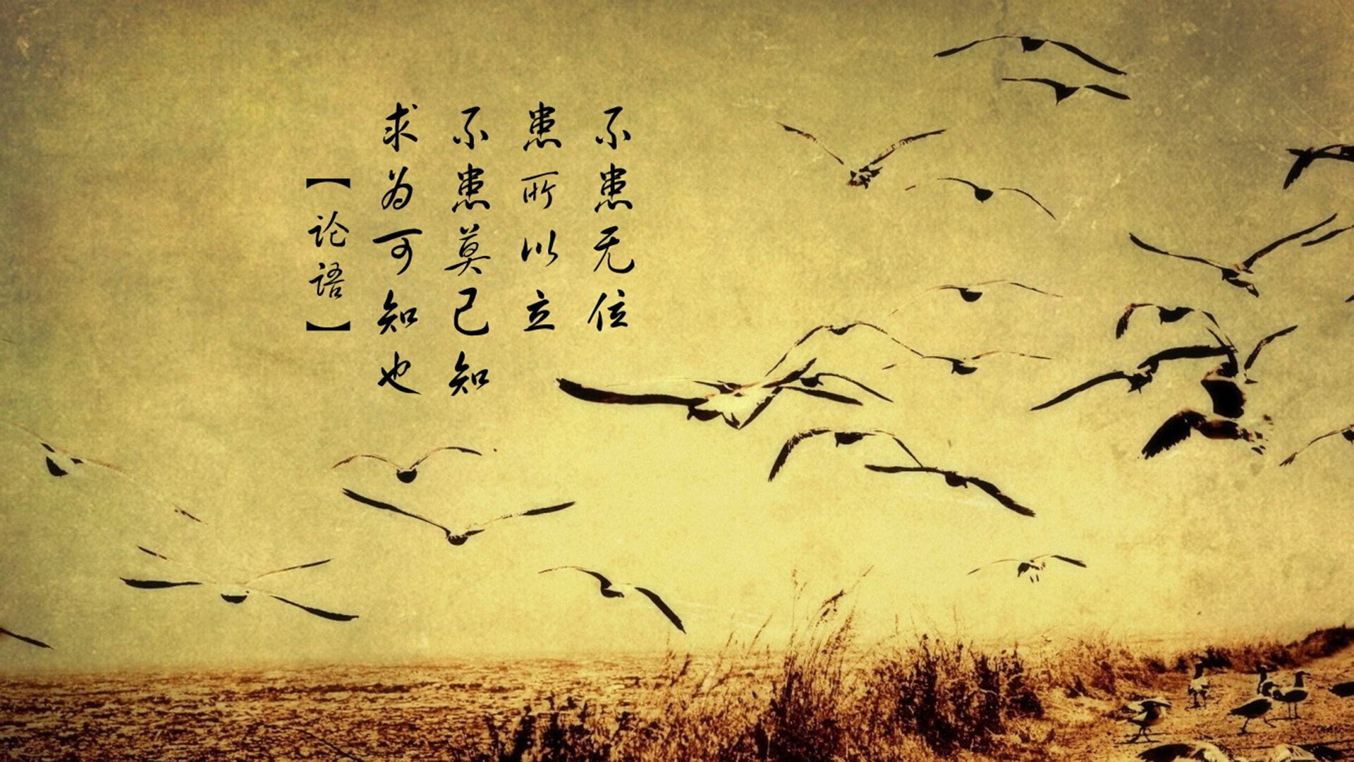 爱游戏娱乐网址-汉诺威客场逆转，战胜强劲对手取得胜利，汉诺威家具有限公司官方网站