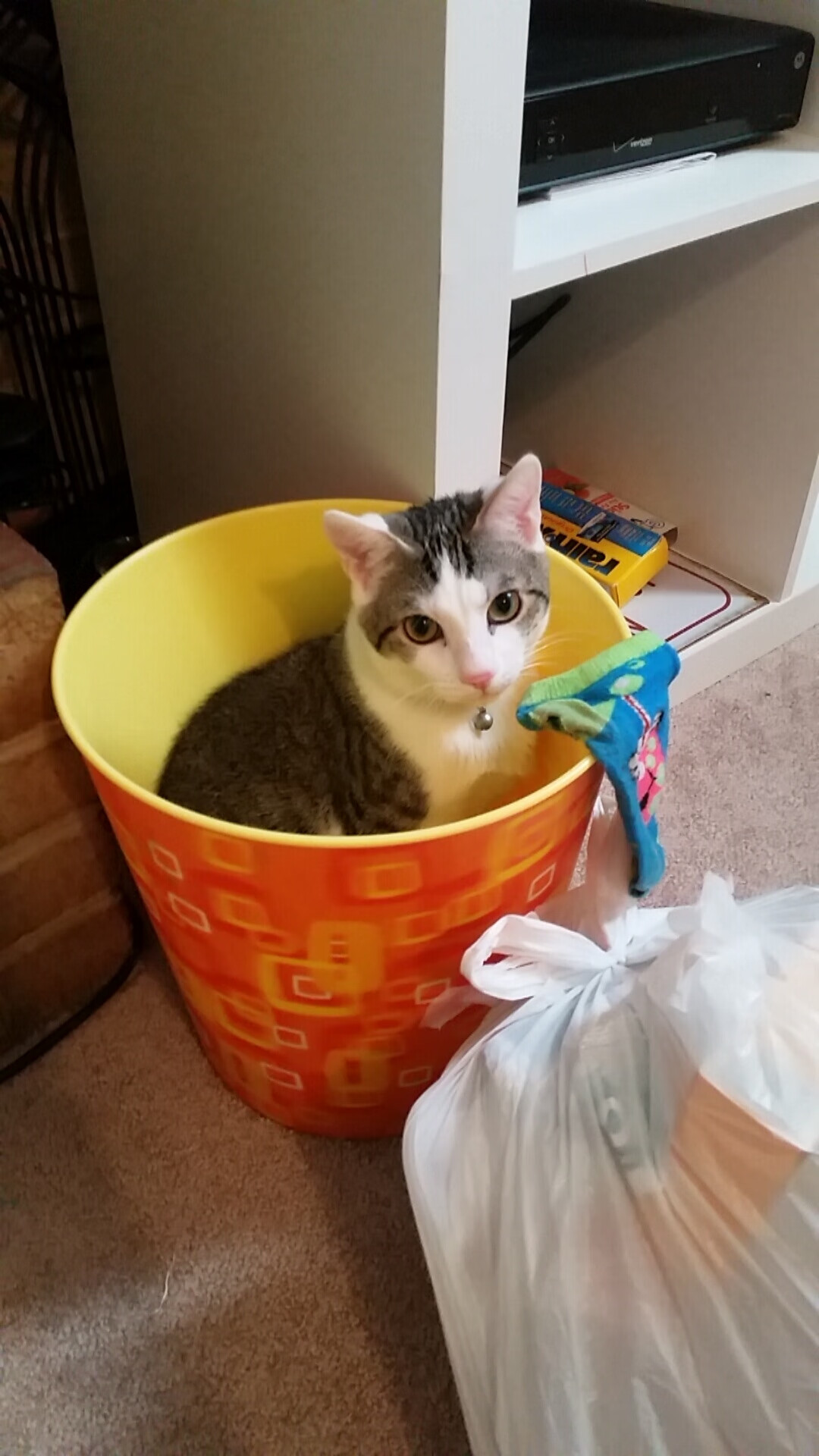 爱游戏体育（AYX）官方APP下载-萨拉赫梅开二度，利物浦轻松战胜对手，利物浦萨拉赫个人资料