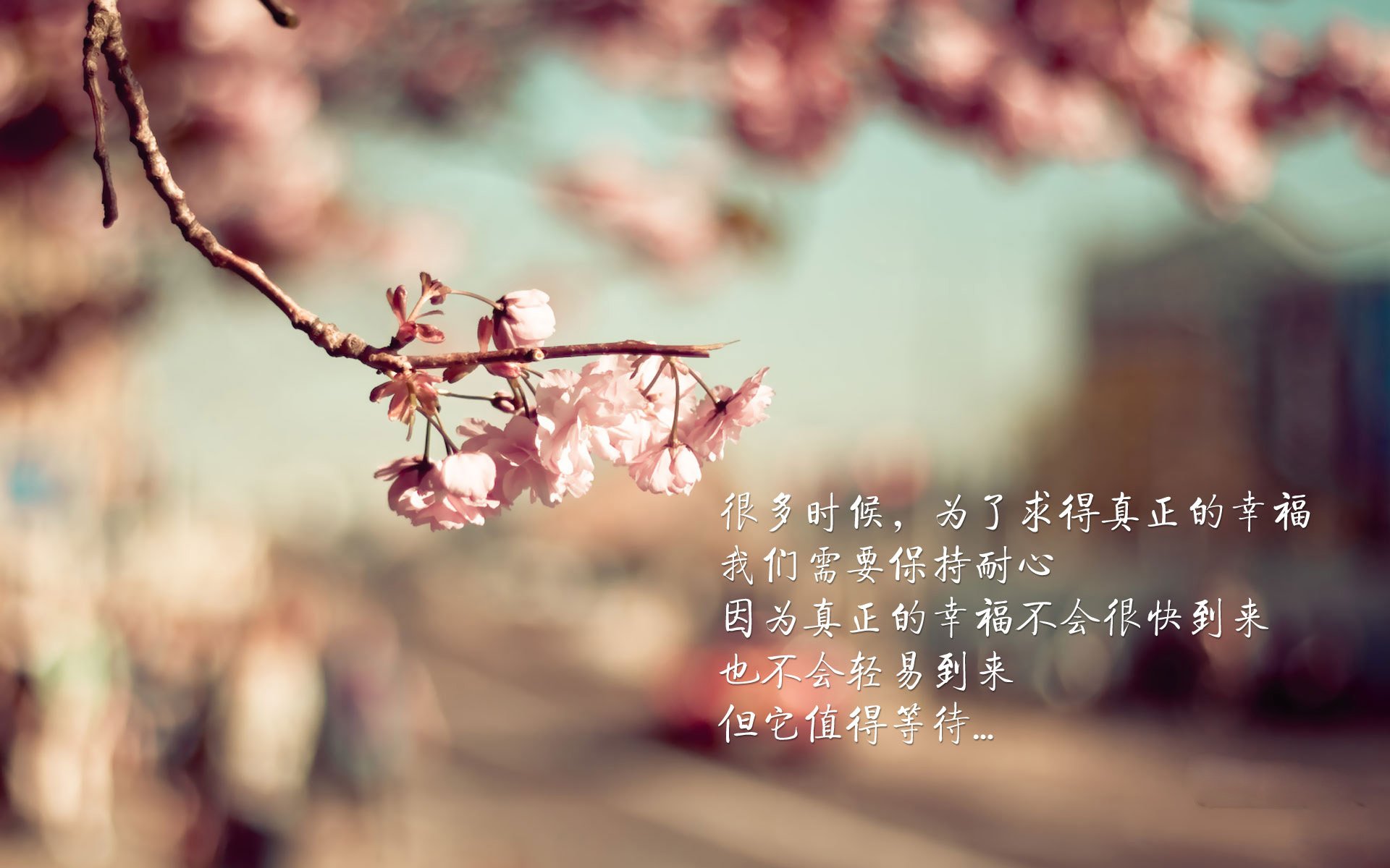 雄鹿大胜热火,关键一役中字母哥罚球绝杀,雄鹿字母哥争冠