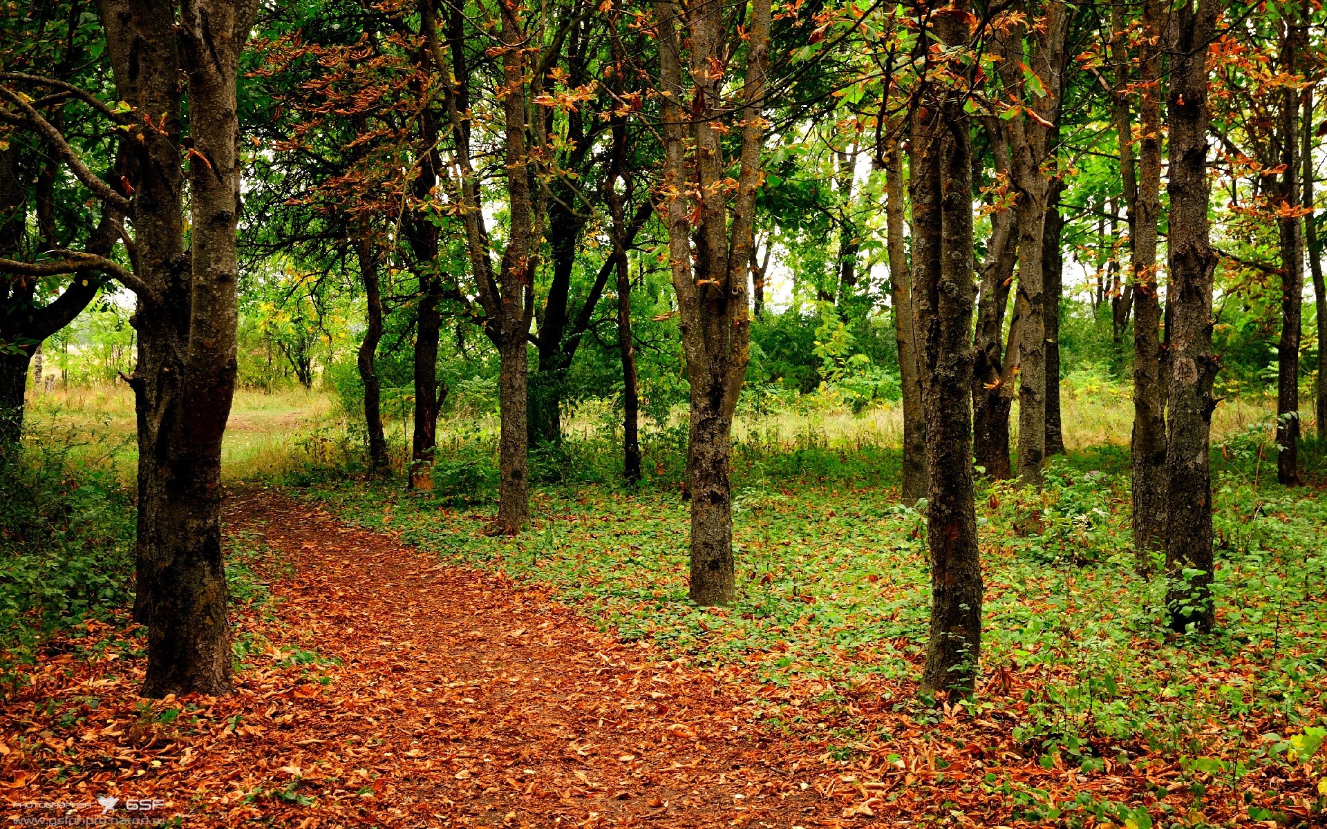全国青少年巴西柔术锦标赛火热进行中,巴西青少年女子柔术比赛视频