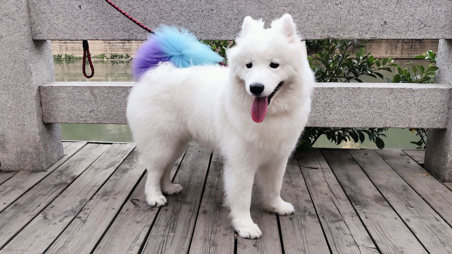 国家队成绩停滞原因深度剖析，国家队成绩停滞原因深度剖析怎么写