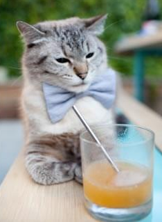 奥预赛U23国足晋级 球员技术能力有所提升,u23国足提前出线