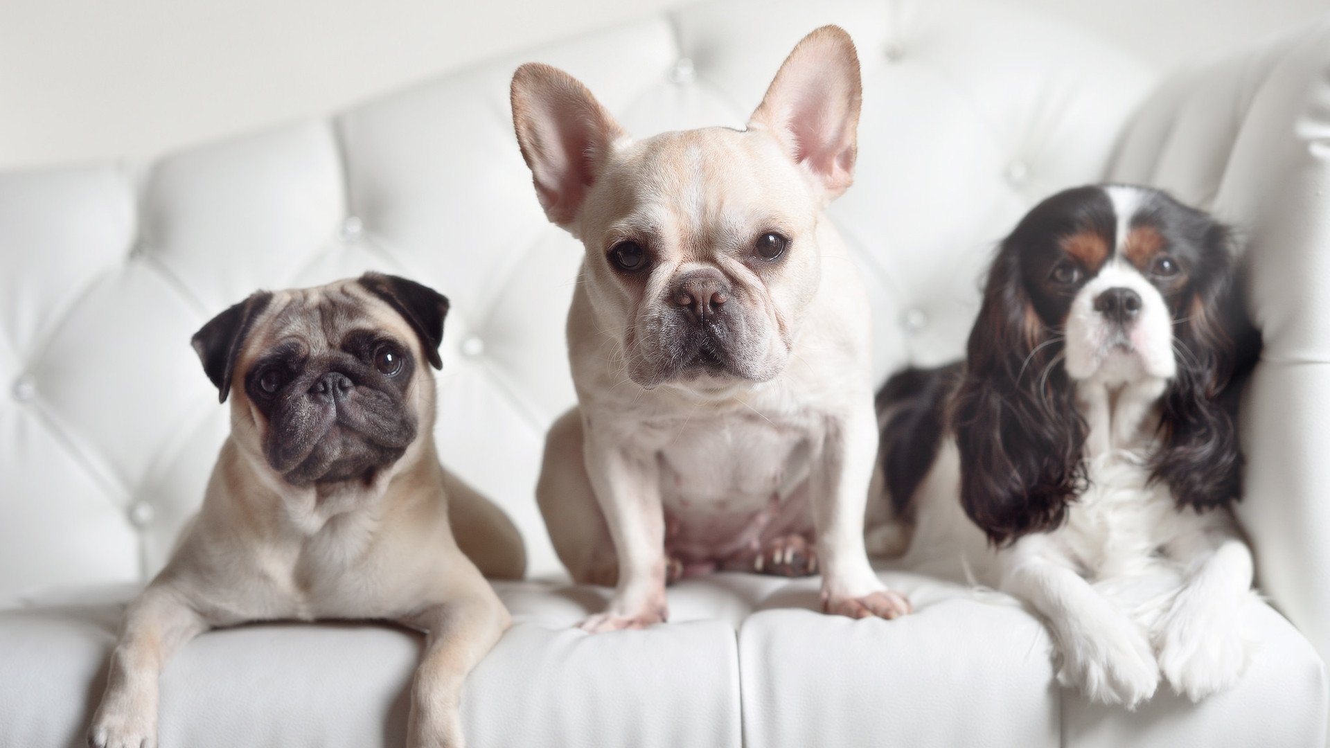 爱游戏体育-教练团队职业发展路径进入政策支持范围，教练员自我发展规划