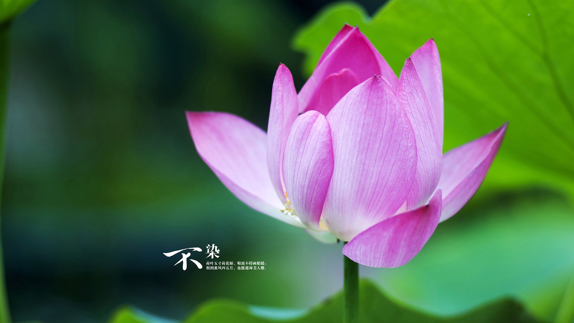 爱游戏中国官方登录入口网站-青训工作体系化推进成效显著，青训体系是什么意思