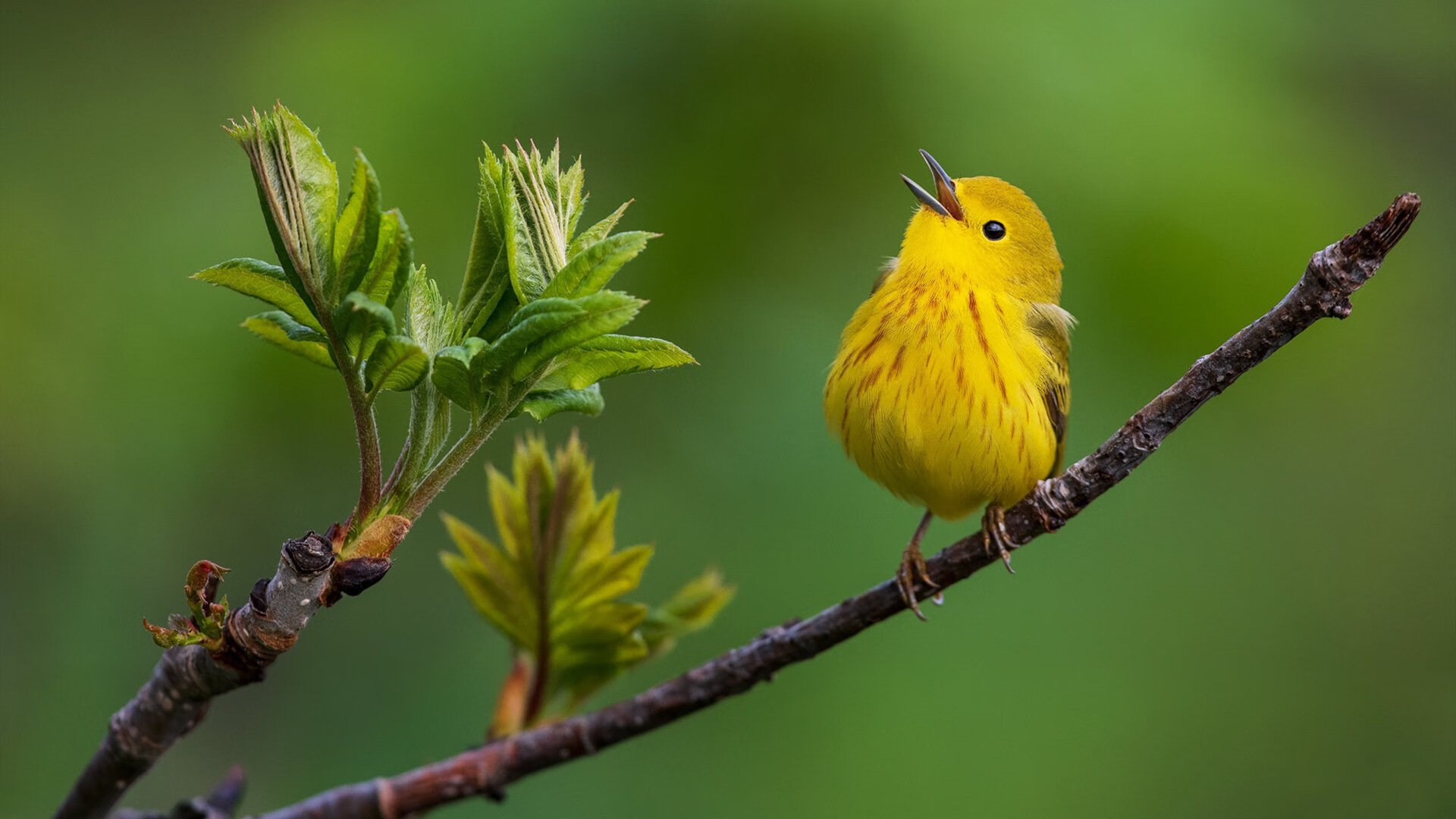 青训评分体系为何忽略体能指标