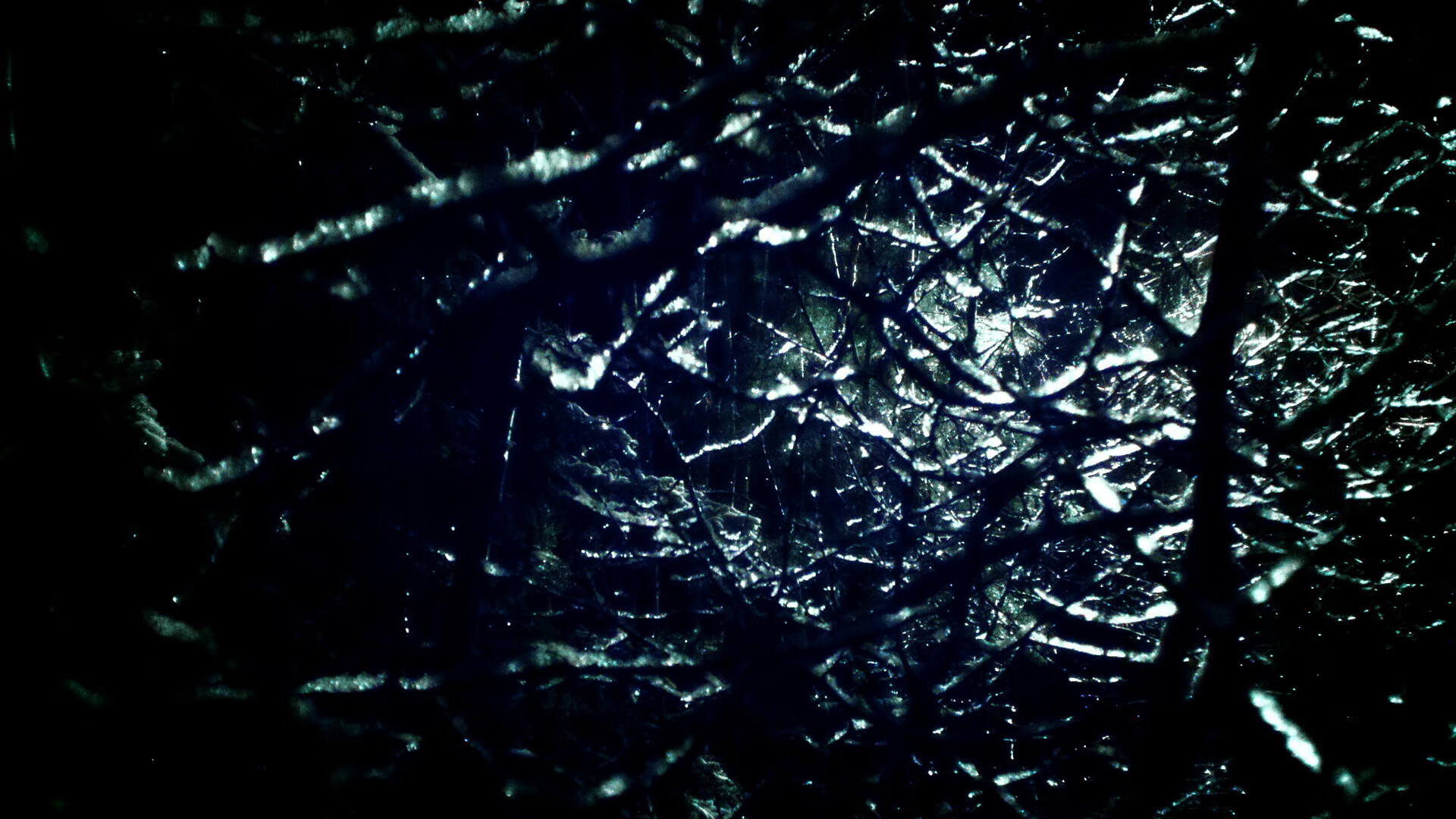 爱游戏登录入口-南非春bok队与新西兰全黑队的世纪对决